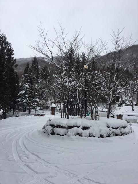 Wadano Forest Hotel & Apartments Hakuba Eksteriør bilde