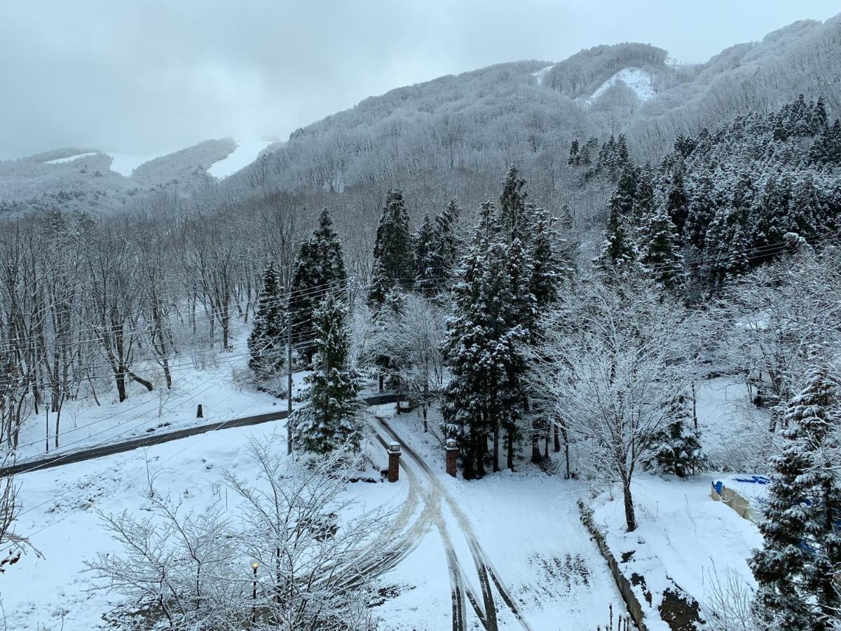 Wadano Forest Hotel & Apartments Hakuba Eksteriør bilde